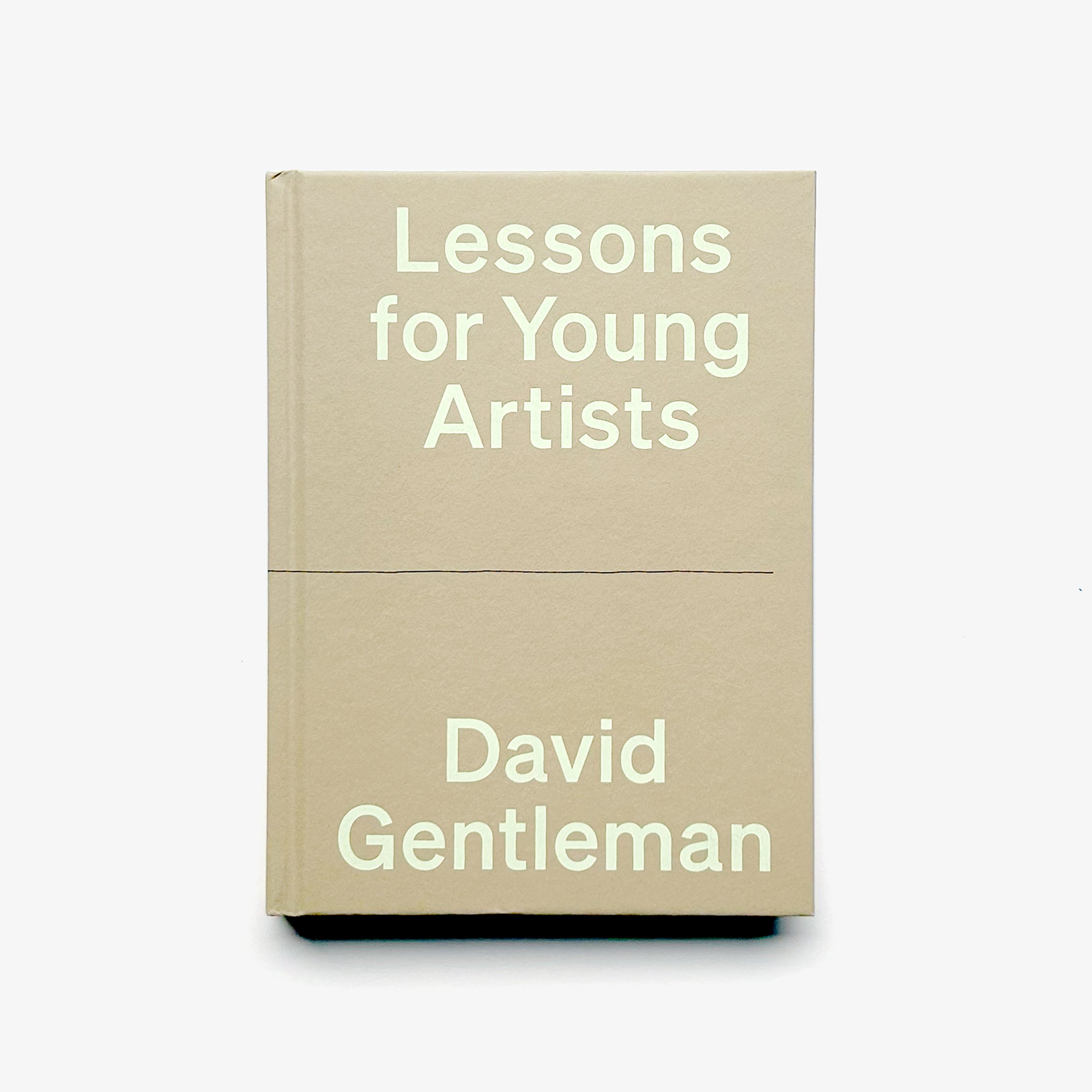 Lessons for Young Artists