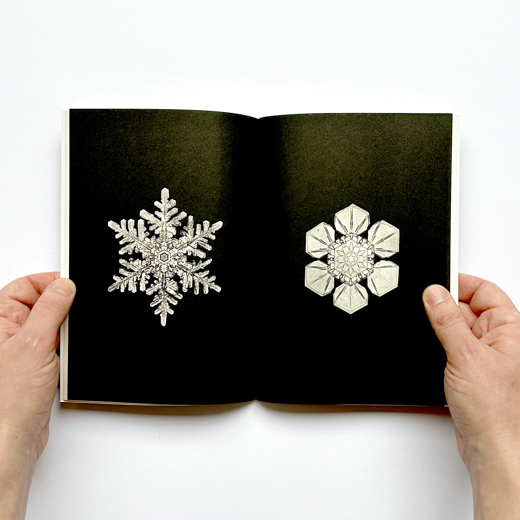 Notebook Snowflakes
