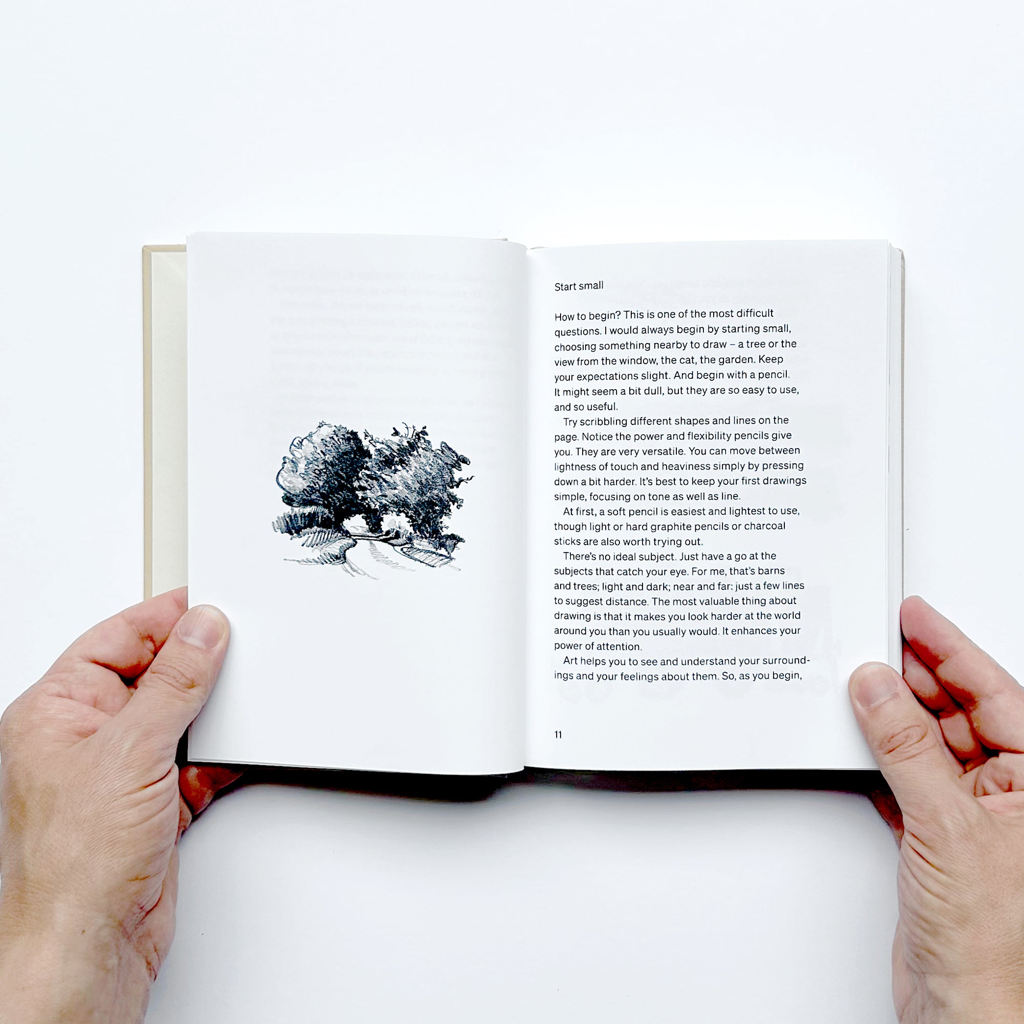 Lessons for Young Artists