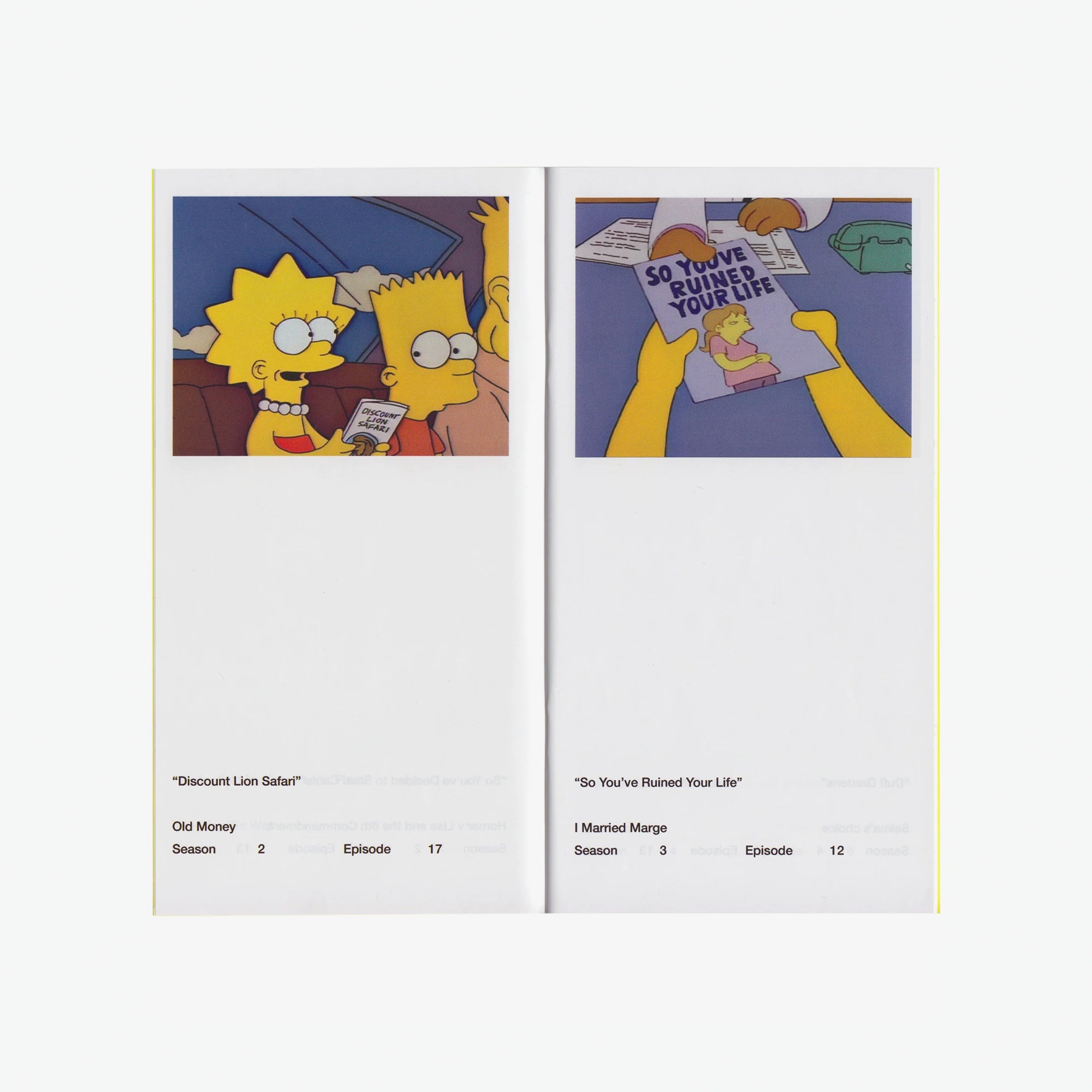 So You've Purchased a Simpsons Pamphlet Zine