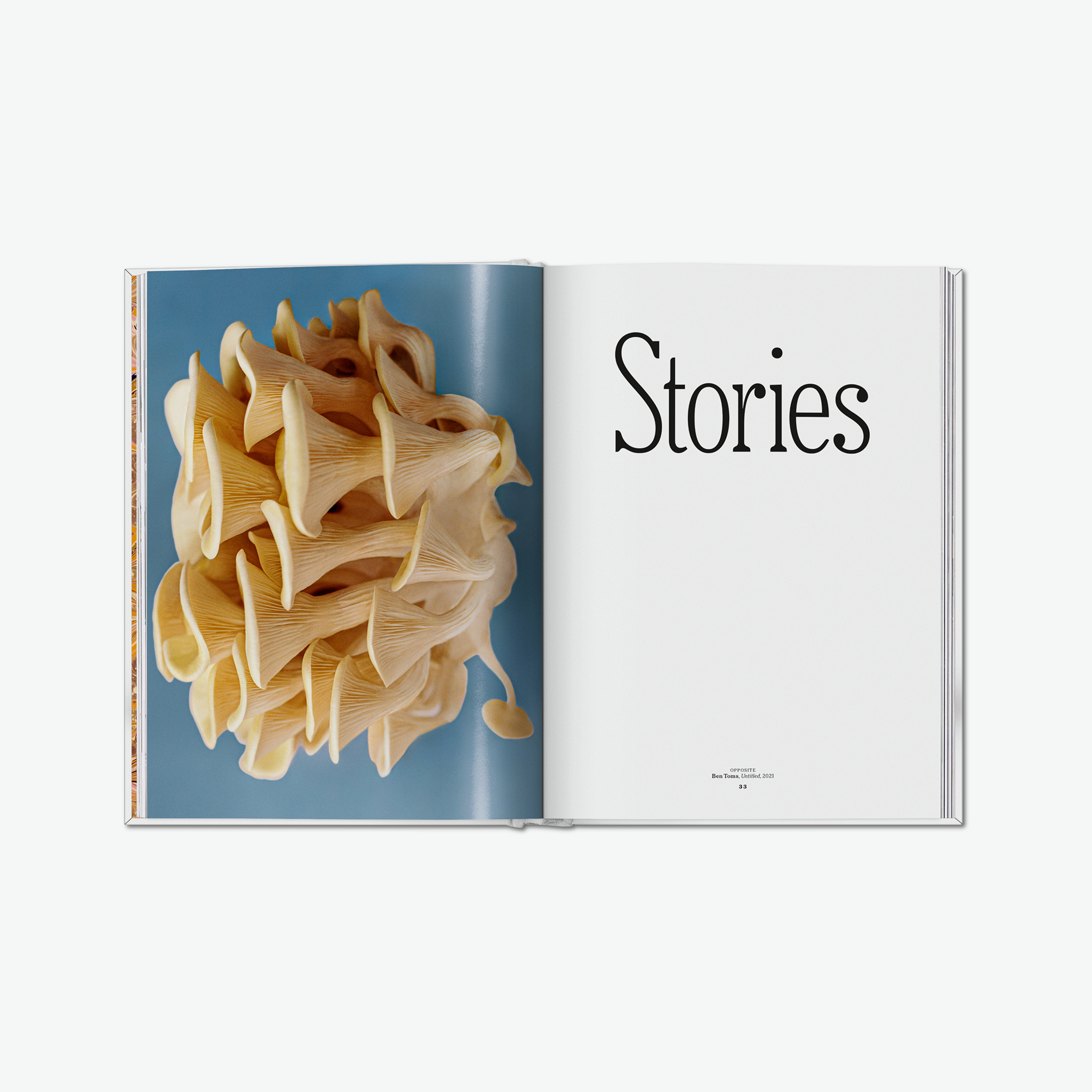 The Gourmand's Mushroom