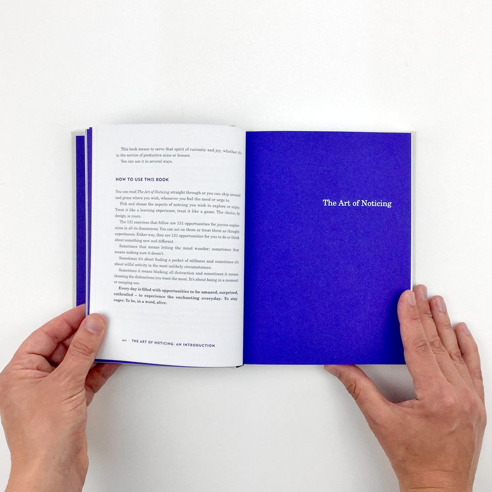 The Art of Noticing – Seconds
