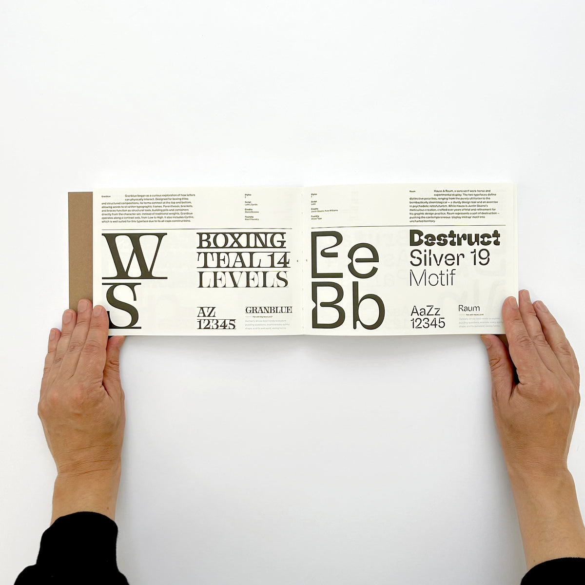 Curious Typefaces and What to Pair Them With Volume 02