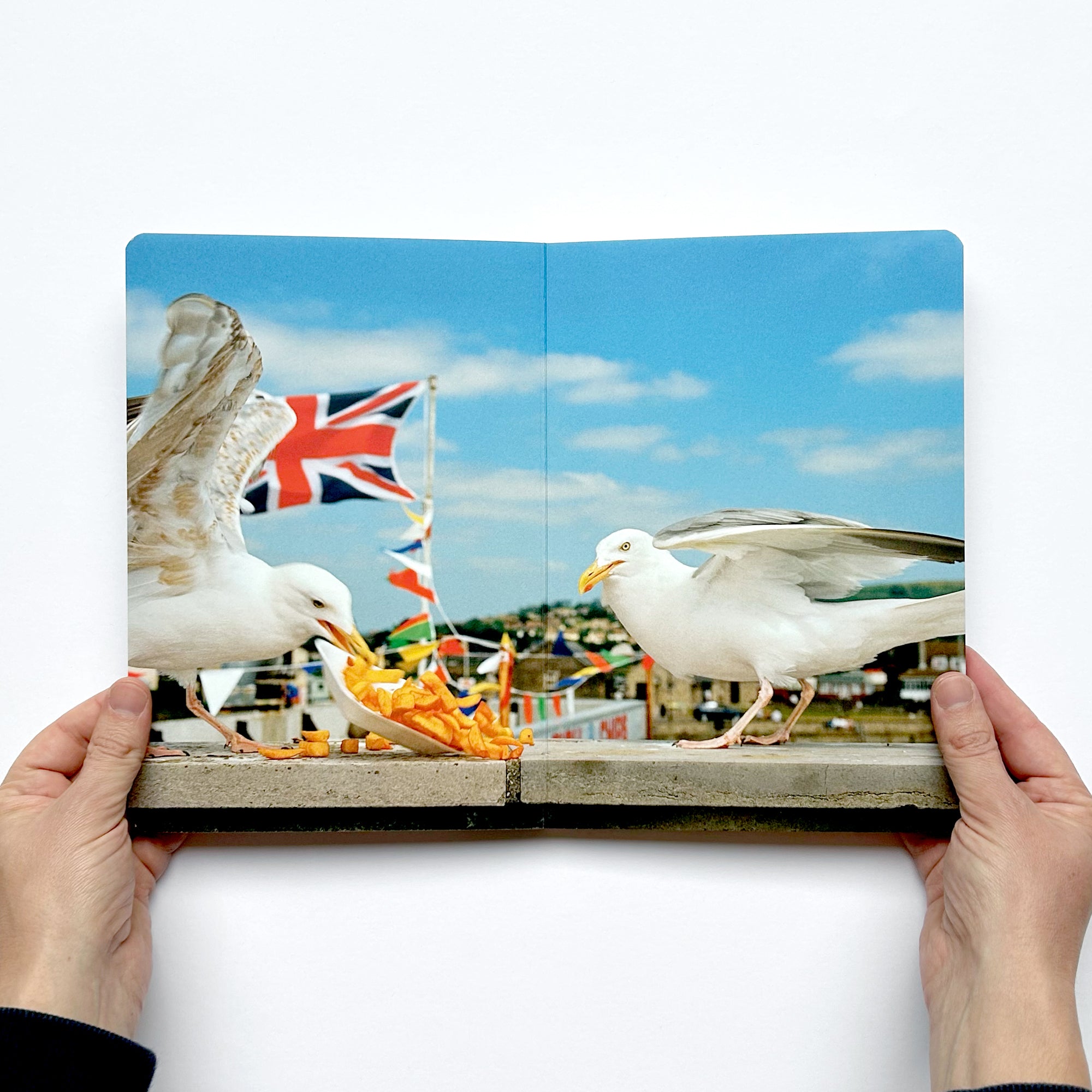 Martin Parr – Animals