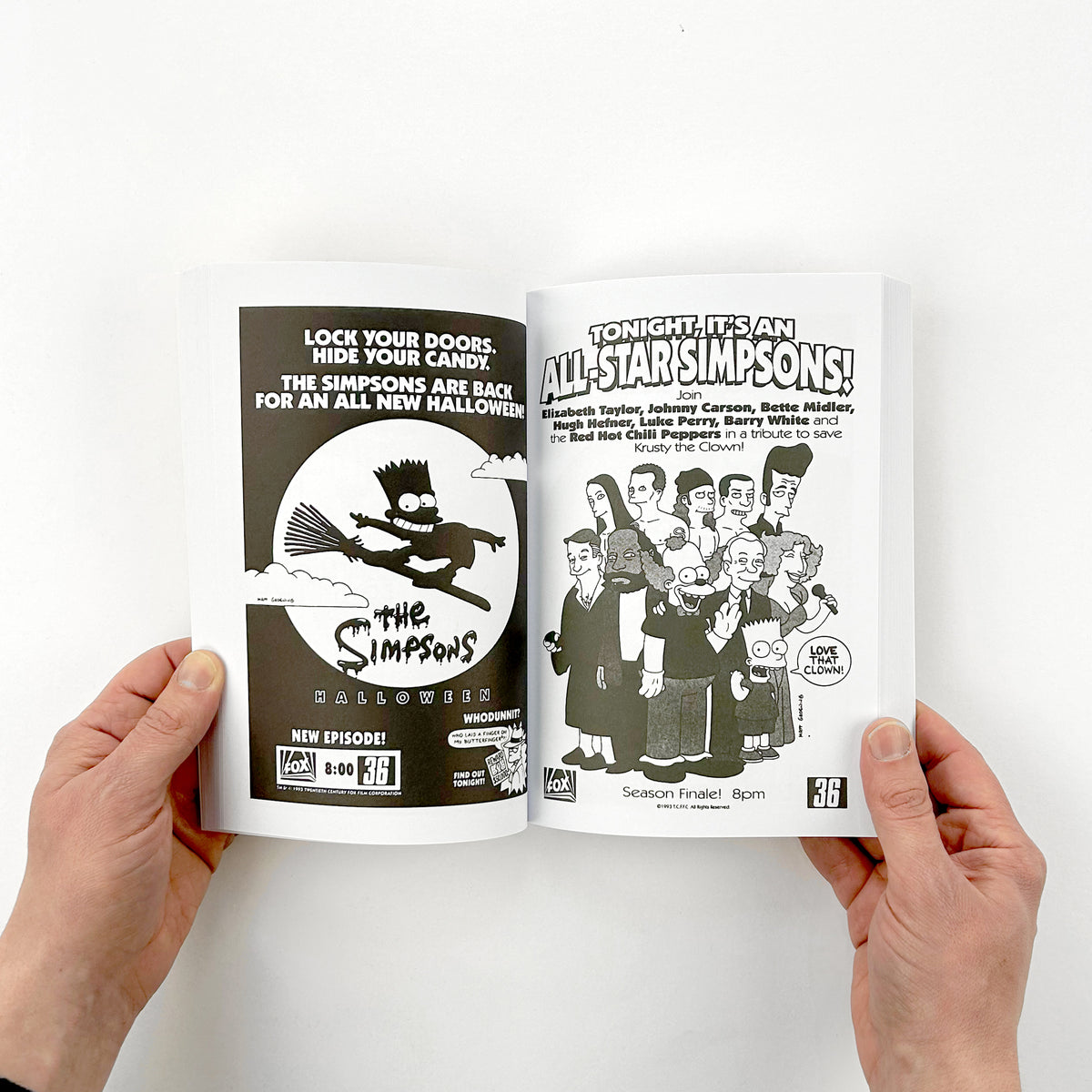 Simpsons Pamphlets A Compendium of Print Advertising from The Simpsons – Expanded Edition ...