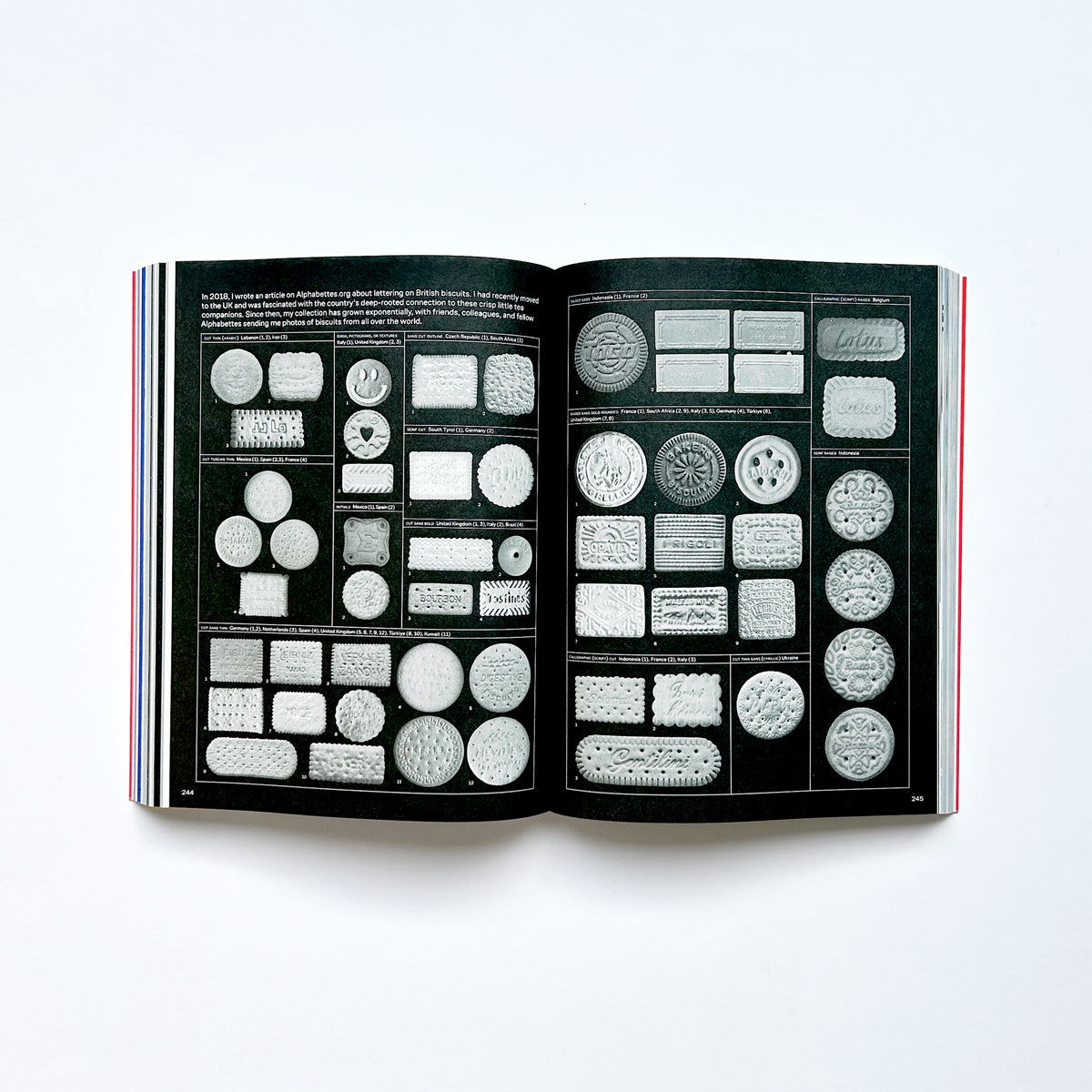 Alphabettes Soup: Feminist Approaches to Type