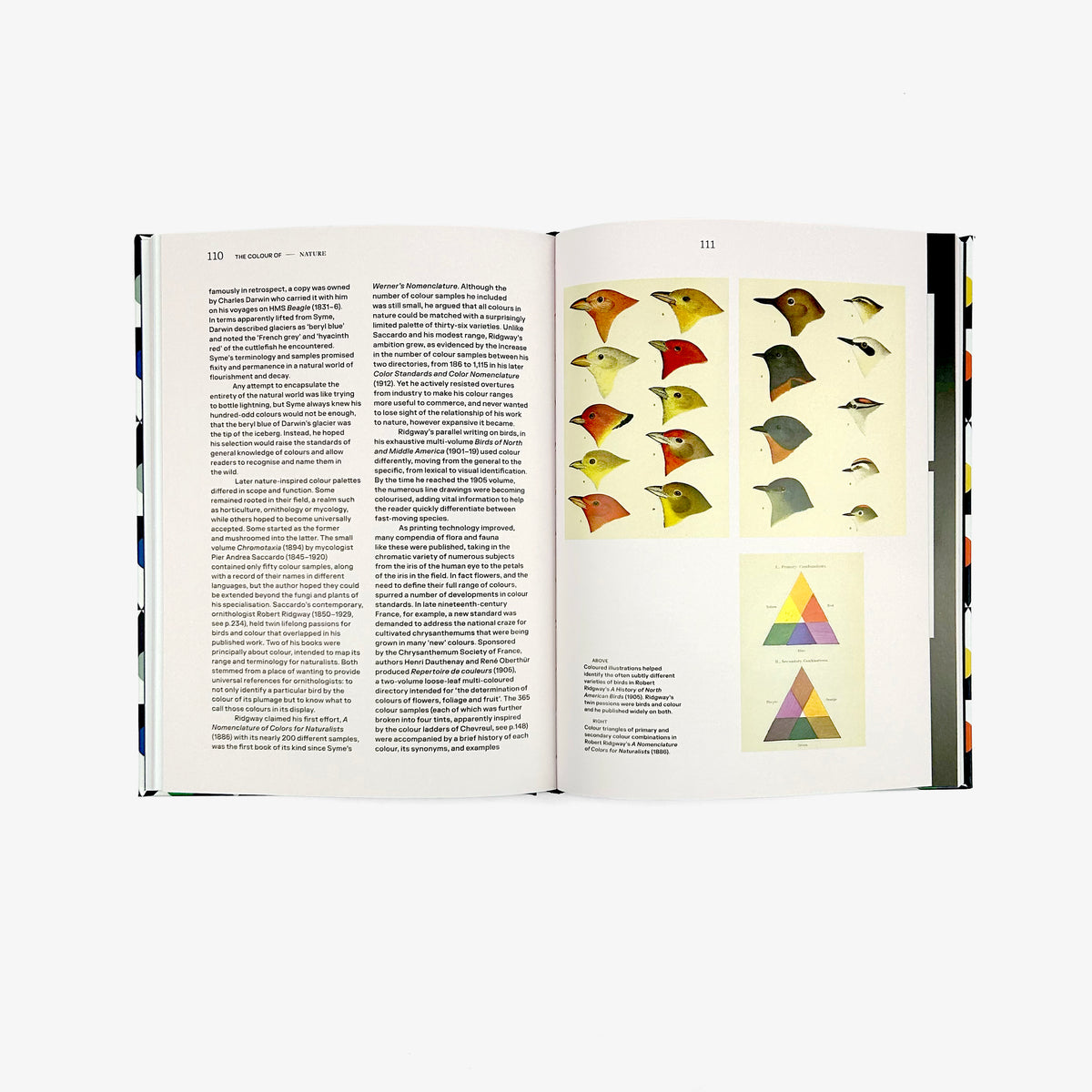 The History of Colour – Counterprint