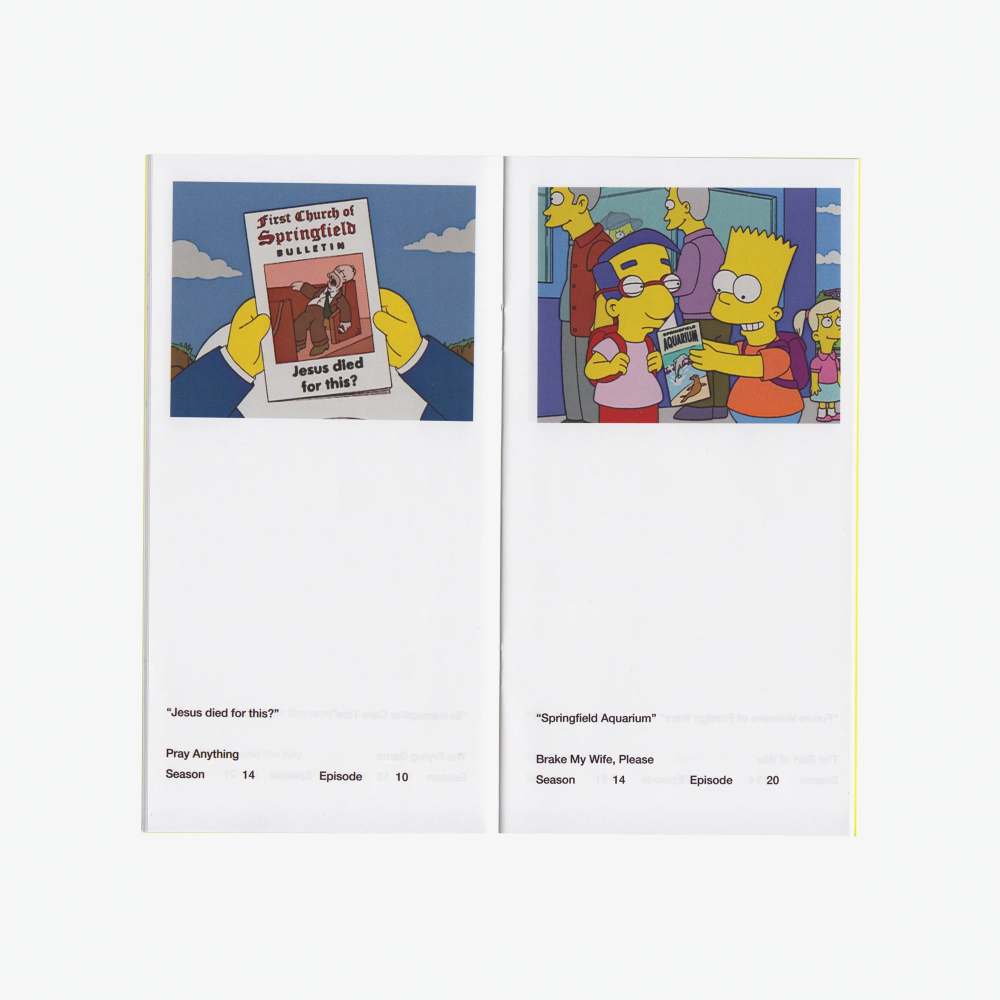 So You've Purchased a Simpsons Pamphlet Zine