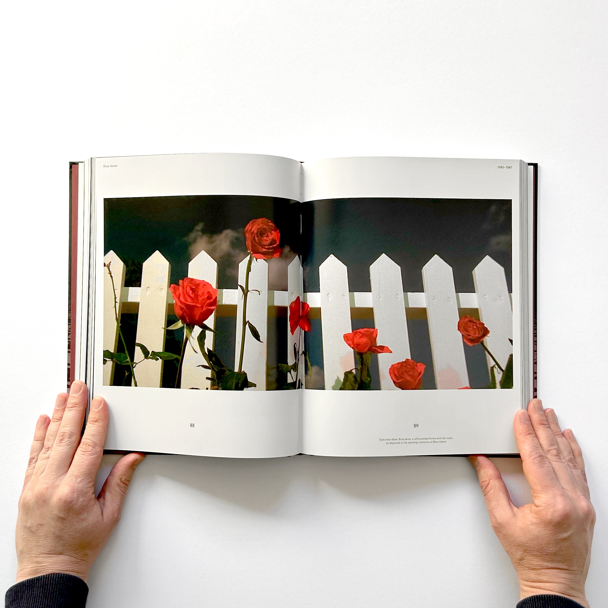 David Lynch: His Work, His World