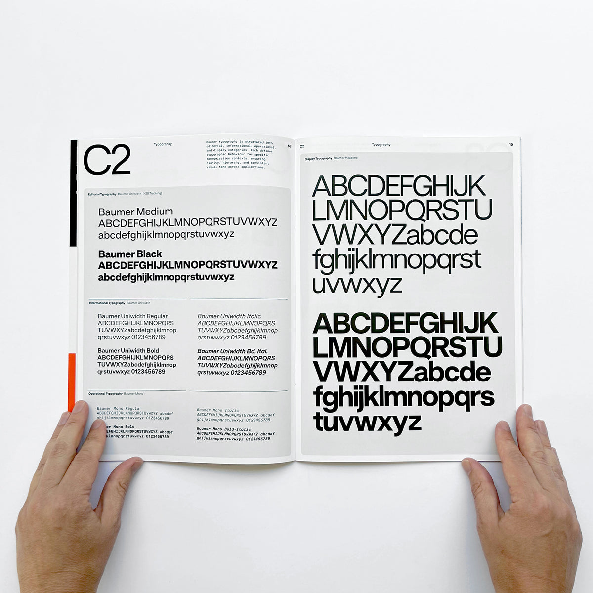 Baumer Specimen