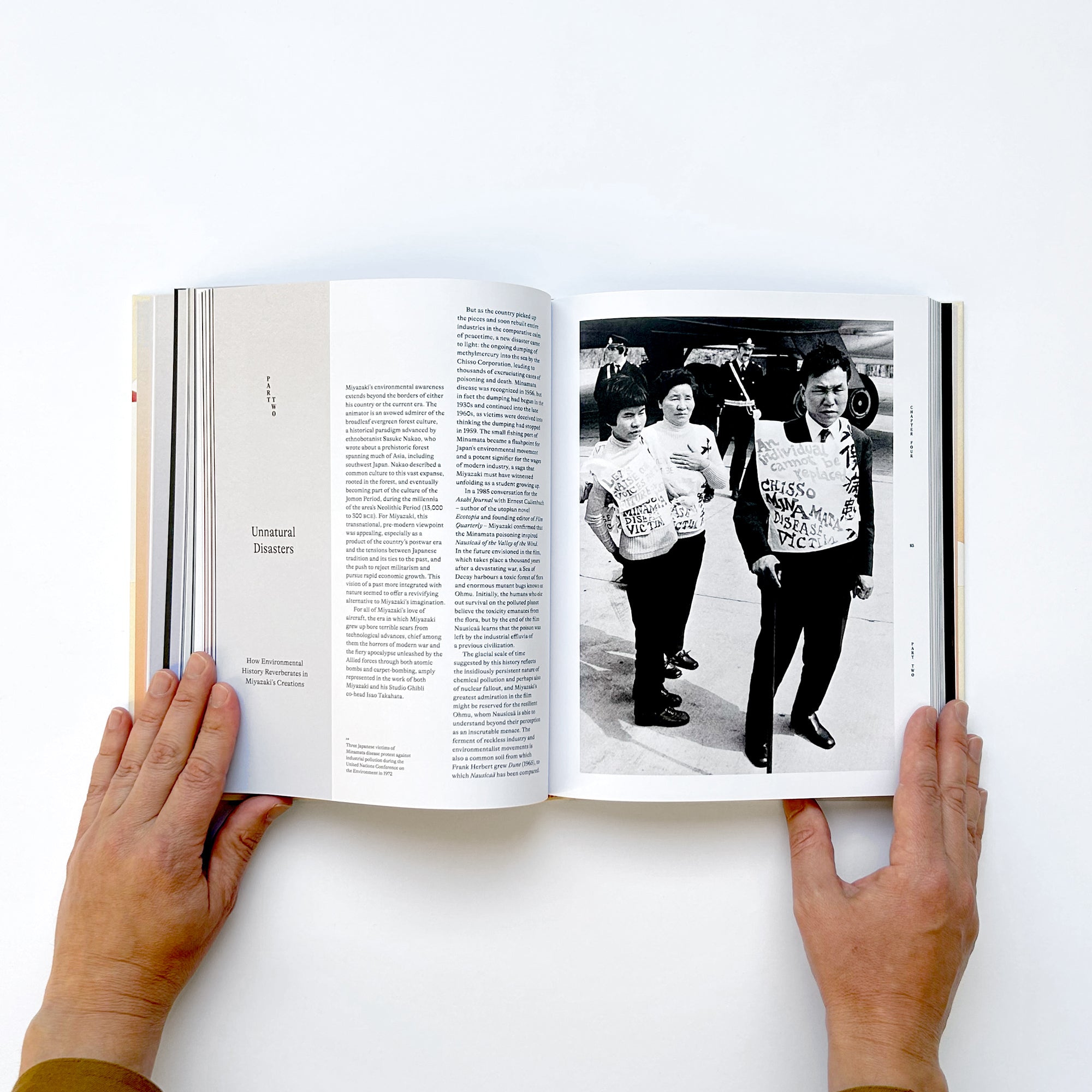 The Worlds of Hayao Miyazaki