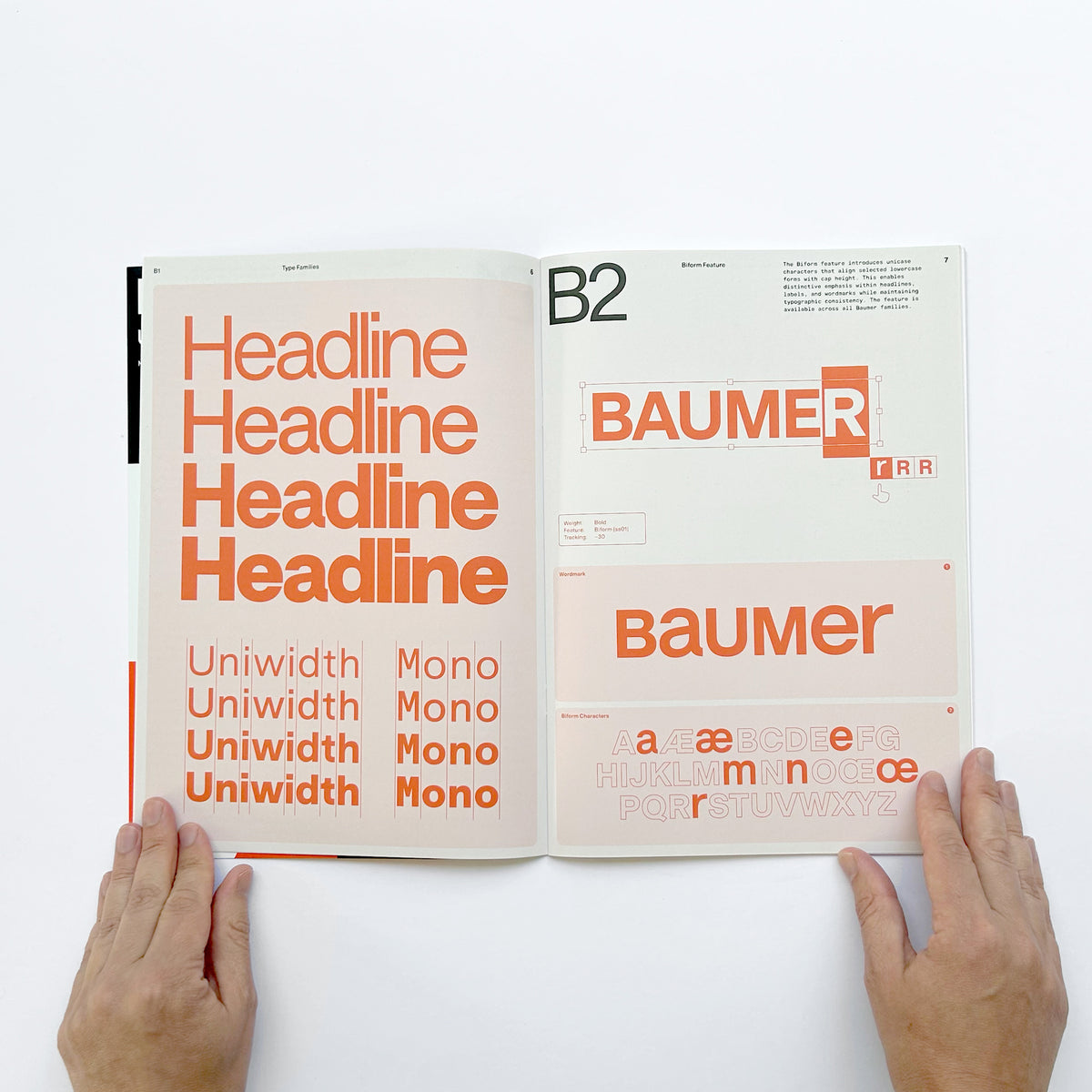 Baumer Specimen