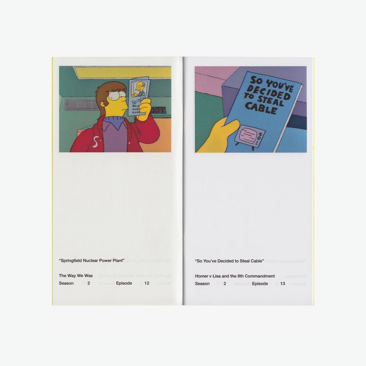 Simpsons Pamphlets So You've Purchased a Simpsons Pamphlet Zine – Seconds – Counterprint