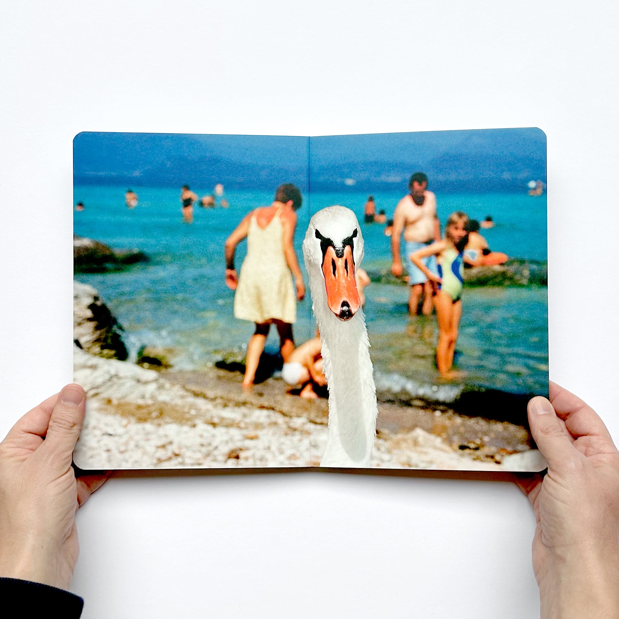Martin Parr – Animals