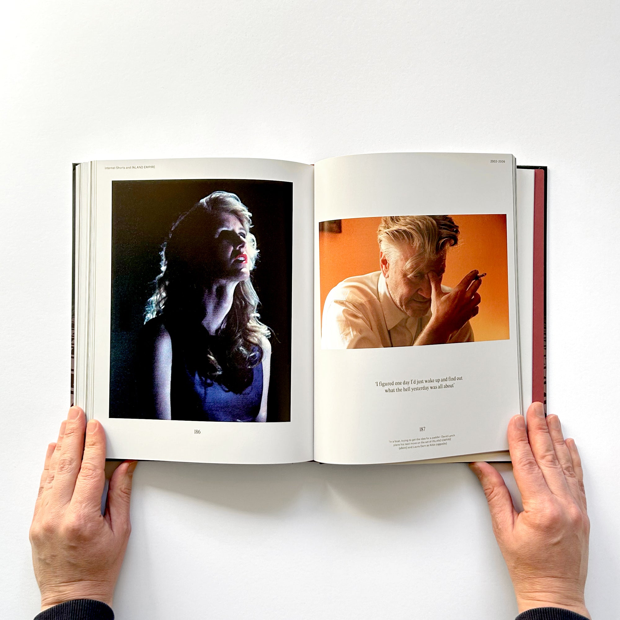 David Lynch: His Work, His World