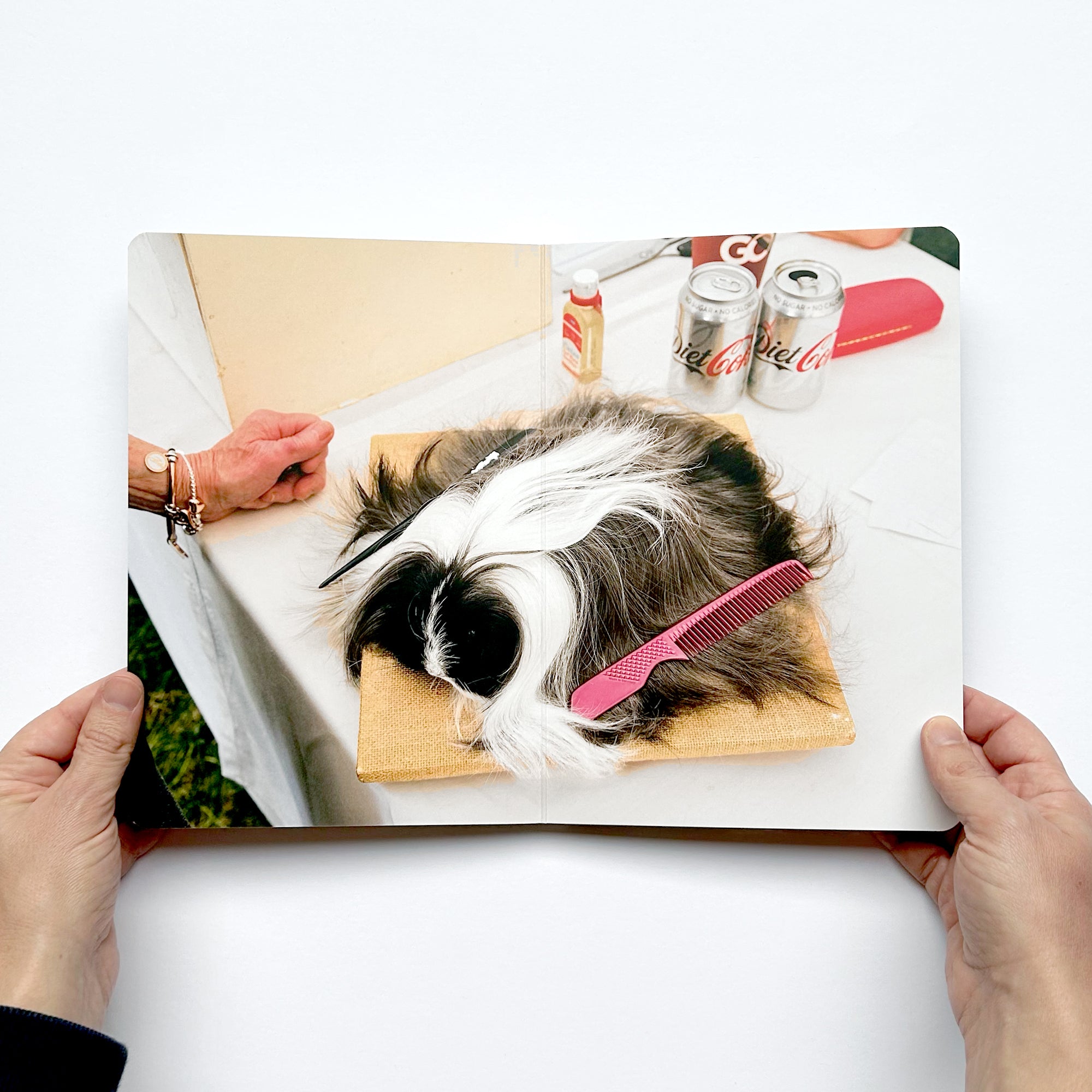 Martin Parr – Animals