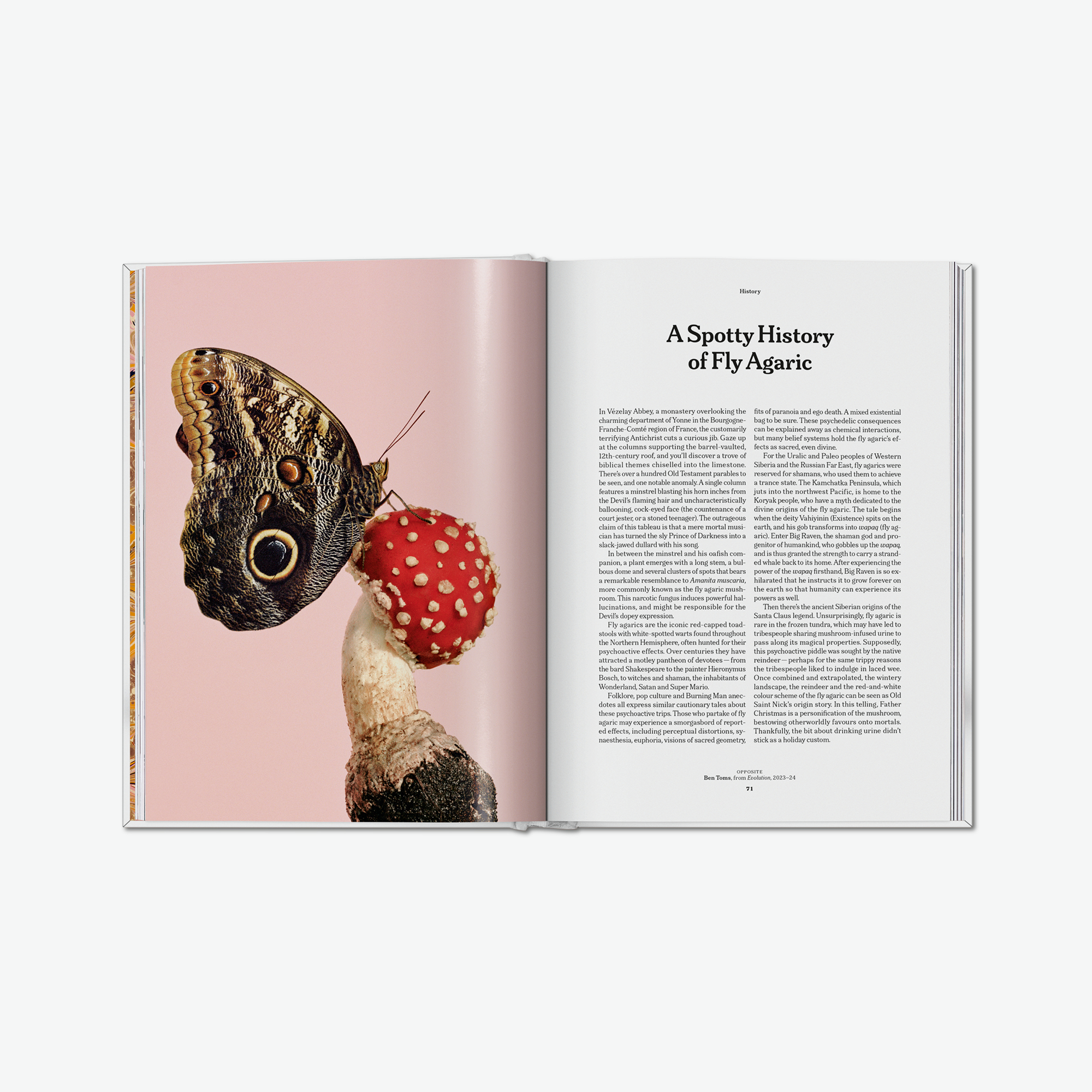 The Gourmand's Mushroom