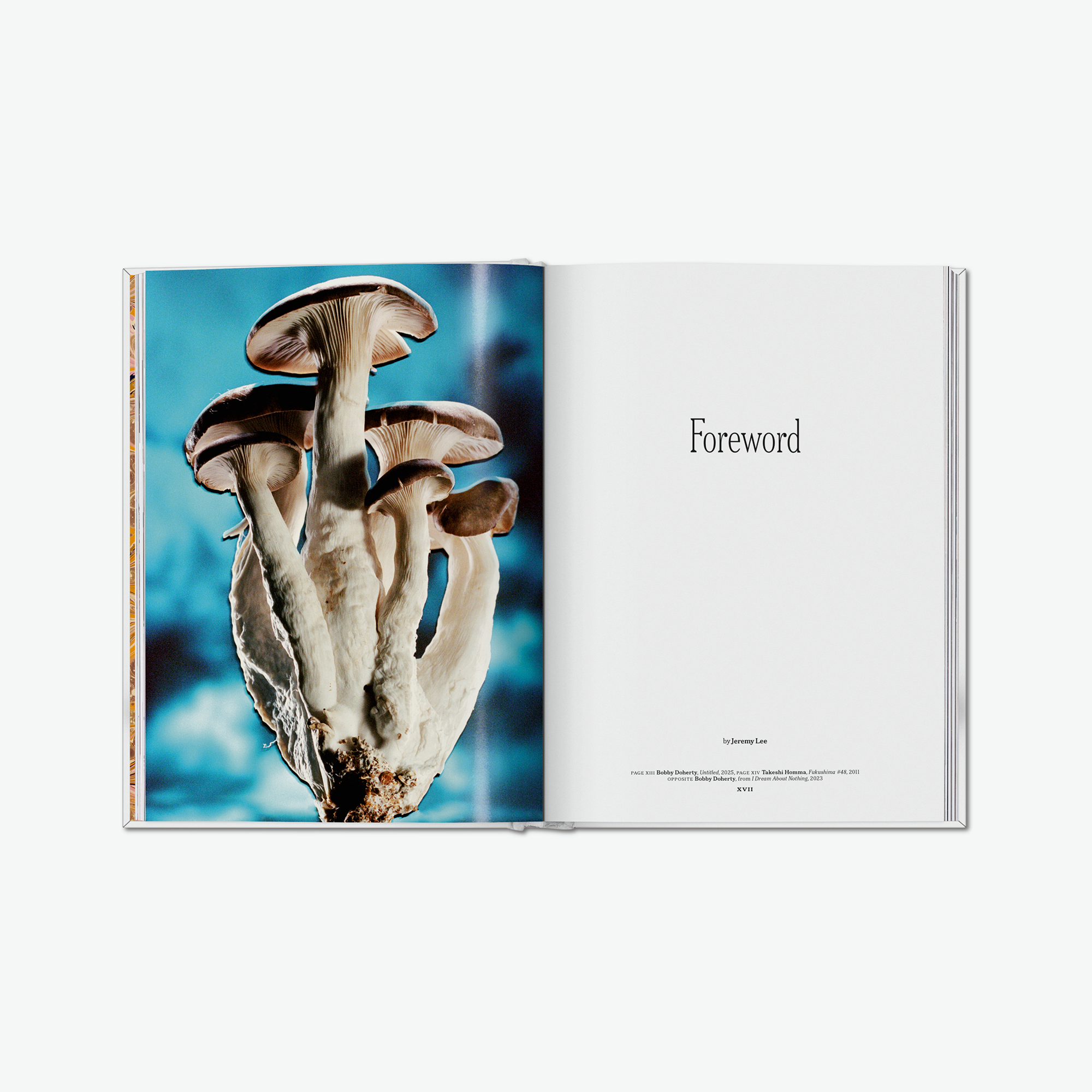 The Gourmand's Mushroom